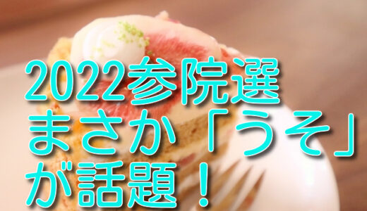 中条きよしが参議院選挙に維新から出馬は「うそ」じゃない？経緯や評判は？