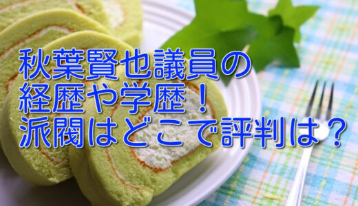 秋葉賢也衆議院議員の経歴や学歴！出身高校や大学はどこ？派閥はどこで評判は？