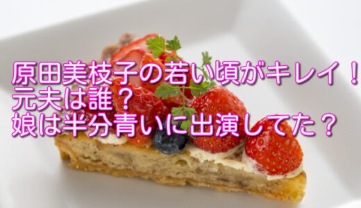原田美枝子の若い頃がキレイ！元夫は誰？娘は半分青いに出演してた？