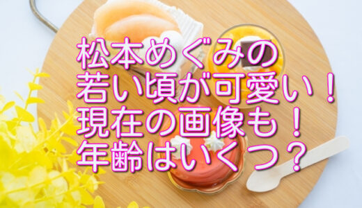 松本めぐみの若い頃が可愛い！現在の画像も！年齢はいくつで卒婚はある？