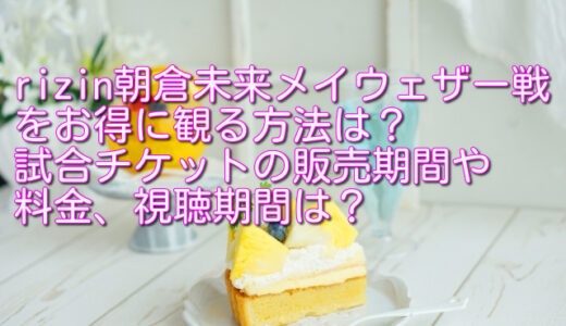 rizin朝倉未来メイウェザー戦を最安値で観る方法は？試合チケットの販売期間や料金、視聴期間は？