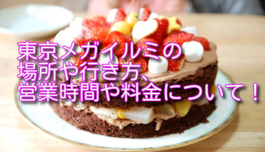 東京メガイルミの場所や行き方、営業時間や料金について！
