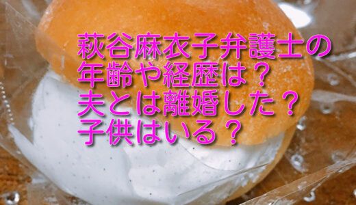 萩谷麻衣子弁護士の年齢や経歴は？夫とは離婚した？子供はいる？