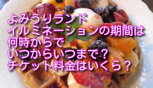 よみうりランドイルミネーション2023の期間は何時からでいつからいつまで？チケット料金はいくら？