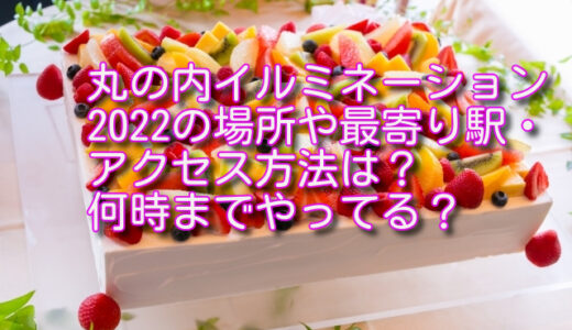 丸の内イルミネーション2022の場所や最寄り駅・アクセス方法は？何時までやってる？