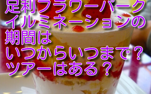足利フラワーパーク イルミネーションの期間は2023年はいつからいつまで？ツアーはある？