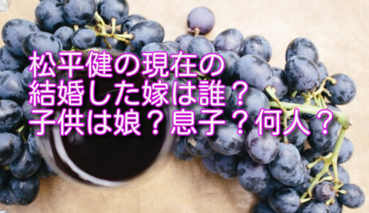 松平健の現在の結婚した嫁は誰？子供は何人？娘や息子など家族が気になる！
