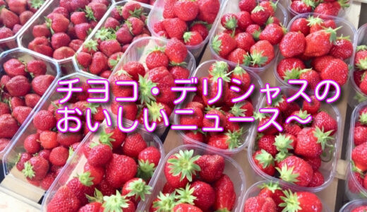 吉永みち子の経歴や評判は？結婚した旦那や息子、家族について！
