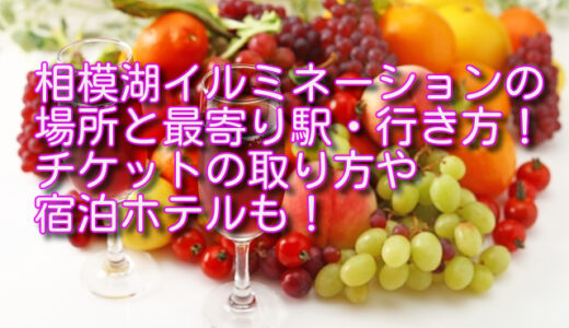 相模湖イルミネーションの場所と最寄り駅・行き方！チケットの取り方や宿泊ホテルも！