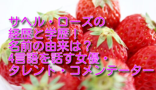 サヘル・ローズの経歴と学歴！国籍はどこ？結婚して旦那はいる？
