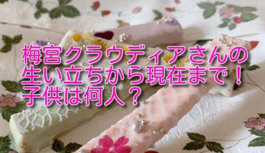 梅宮クラウディアのwikiプロフ！生い立ちから現在まで！子供に長男がいる？