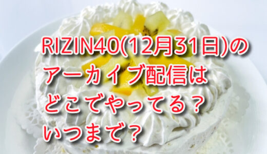 rizin40の視聴方法は？再放送や見逃し配信はある？