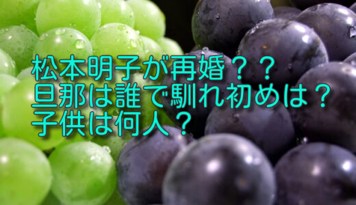松本明子は再婚した？旦那は誰で馴れ初めは？子供は何人？