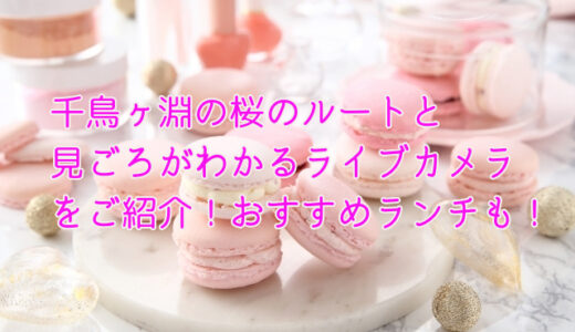 千鳥ヶ淵の桜のルートと見ごろがわかるライブカメラをご紹介！おすすめランチも！