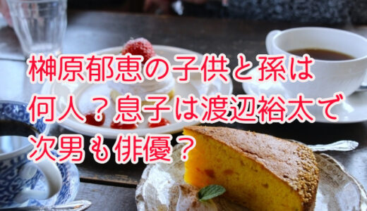 榊原郁恵は子供と孫は何人？息子は渡辺裕太で次男も俳優？