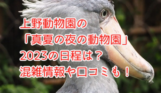 上野動物園の真夏の夜の動物園2023の日程は？混雑情報や口コミも！