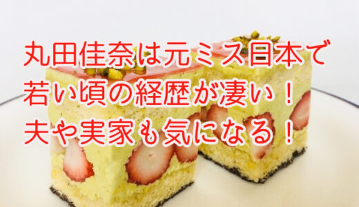 丸田佳奈は元ミス日本で若い頃の経歴が凄い！夫や実家も気になる！