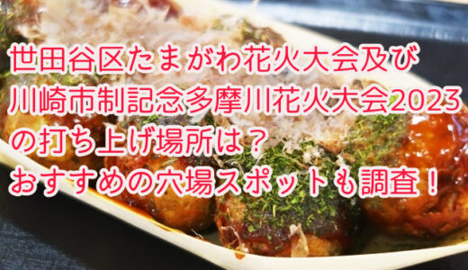 世田谷区たまがわ花火大会及び川崎市制記念多摩川花火大会2023の打ち上げ場所は？おすすめの穴場スポットも！