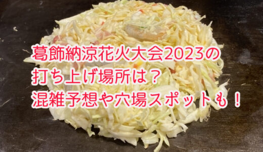 葛飾納涼花火大会2023の打ち上げ場所は？混雑予想や穴場スポットも！