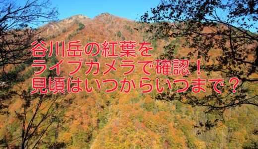 谷川岳の紅葉をライブカメラで確認！見頃はいつからいつまで？