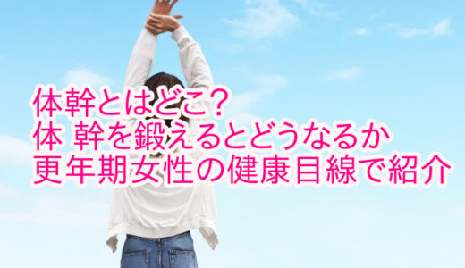 体幹とはどこ？体 幹を鍛えるとどうなるか更年期女性の健康目線で紹介